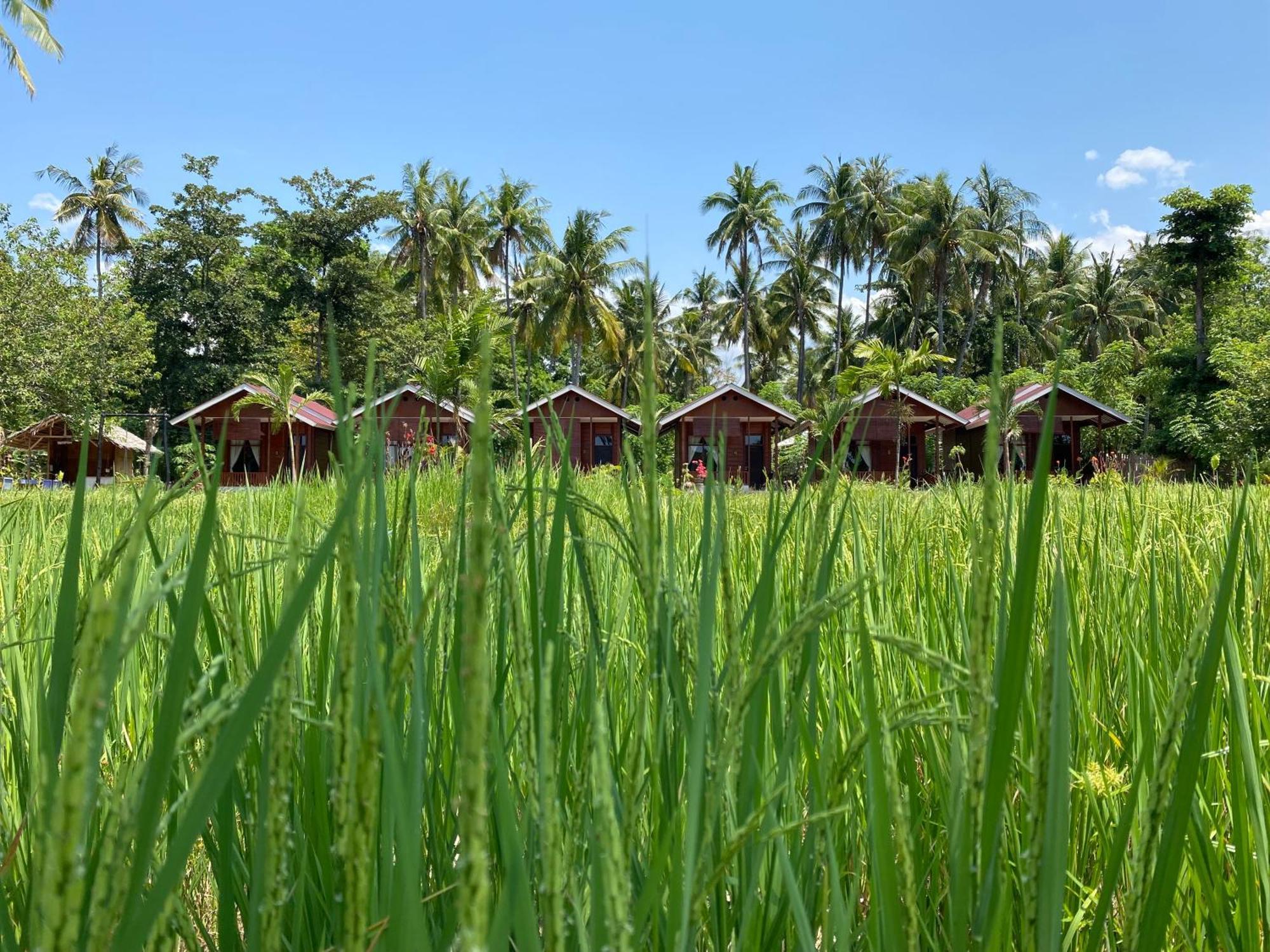 Nuna Bungalows Riung エクステリア 写真
